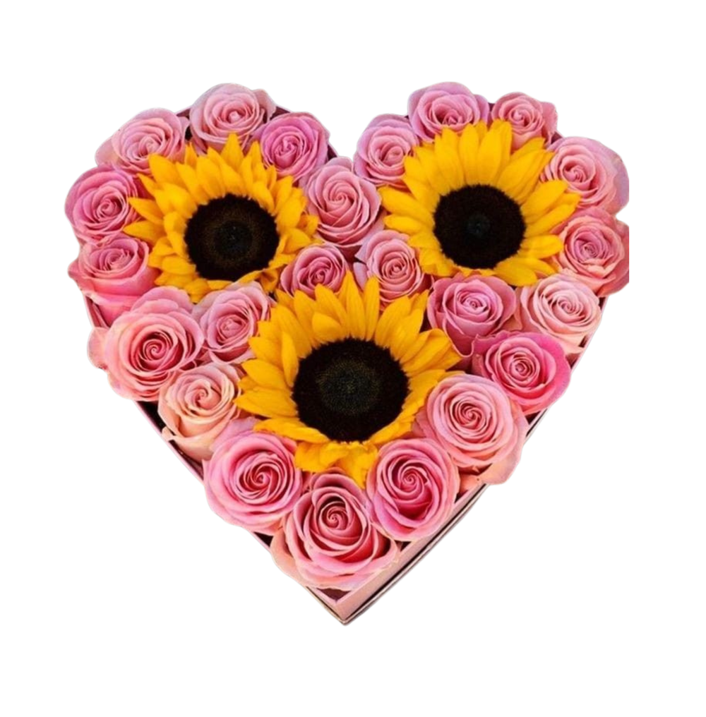 Sun Pink Heart Box