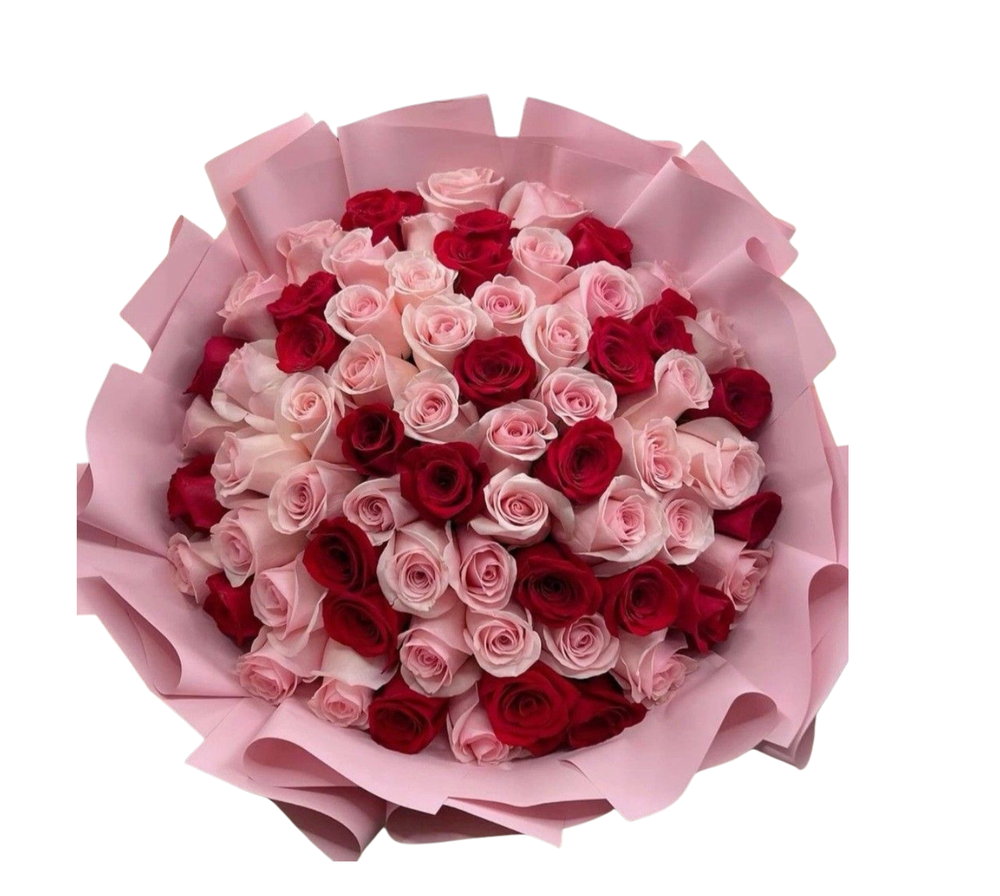 Red in Pink Bloom