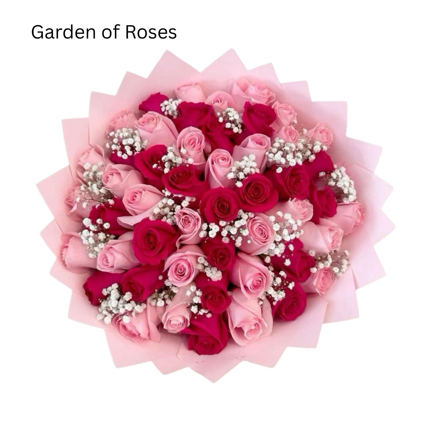 Garden of Roses